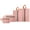 Pink, variant on SDFGTstore 4 Pieces Sturdy Polyester Mesh Storage Packing Cubes Set for Garments Protective and Easy Organization Designs