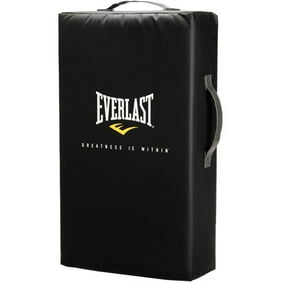 Everlast Boxing Bags - comicsahoy.com