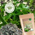 Hida Beauty Dried Thai MMF7 Sweet Basil Leaves 30g Perfect for Blend
