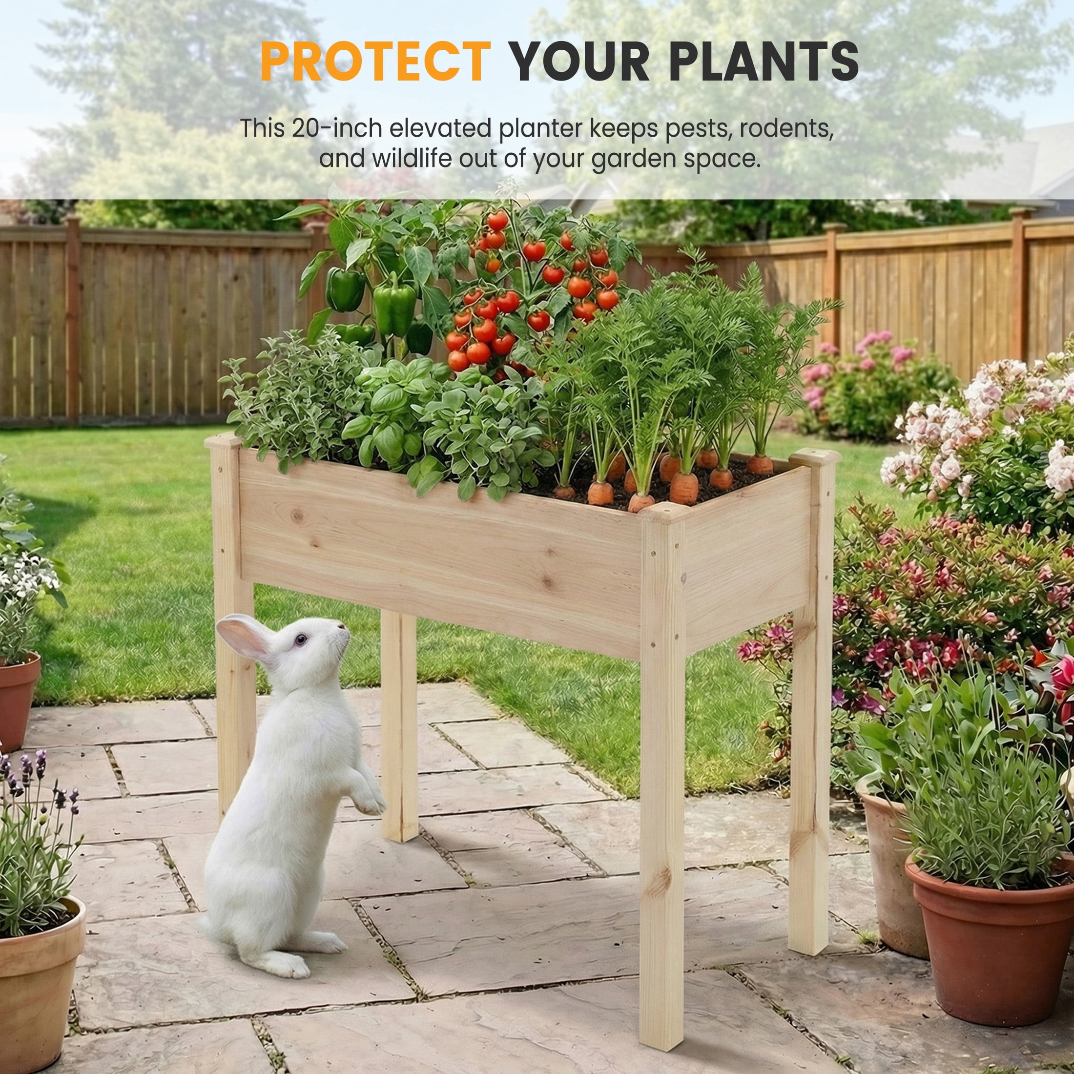 EDX Wooden Raised Garden Bed, Outdoor Planter Box Kit for Vegetables, Flowers and Herbs,Natural Wood Color