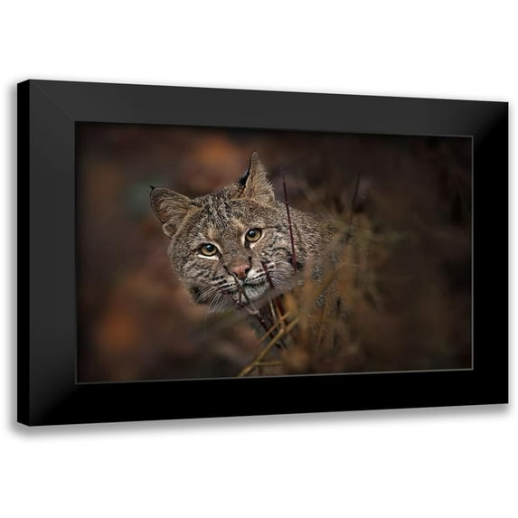 Kalathas, Nick 18x13 Black Modern Framed Museum Art Print Titled - These Eyes