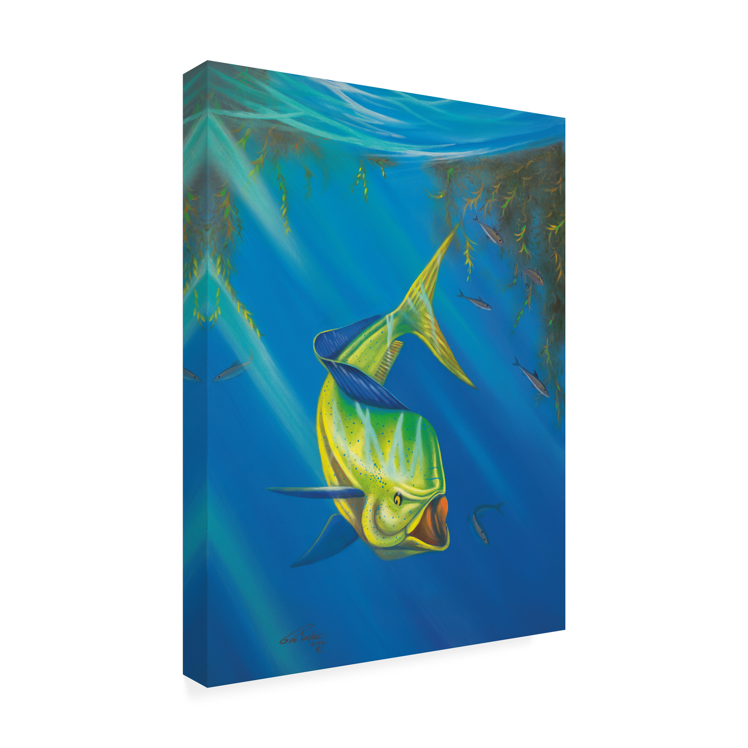 Trademark Fine Art 'Mahi Mahi' Canvas Art by Geno Peoples