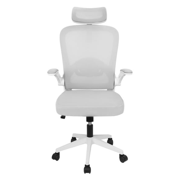 Aqzb Office Chair, Ergonomic Mesh Computer Chair, C-shaped Backrest Desk Chair with Lumbar Support and Flip-up Armrest, Height Adjustable Mesh Swivel Computer Chair