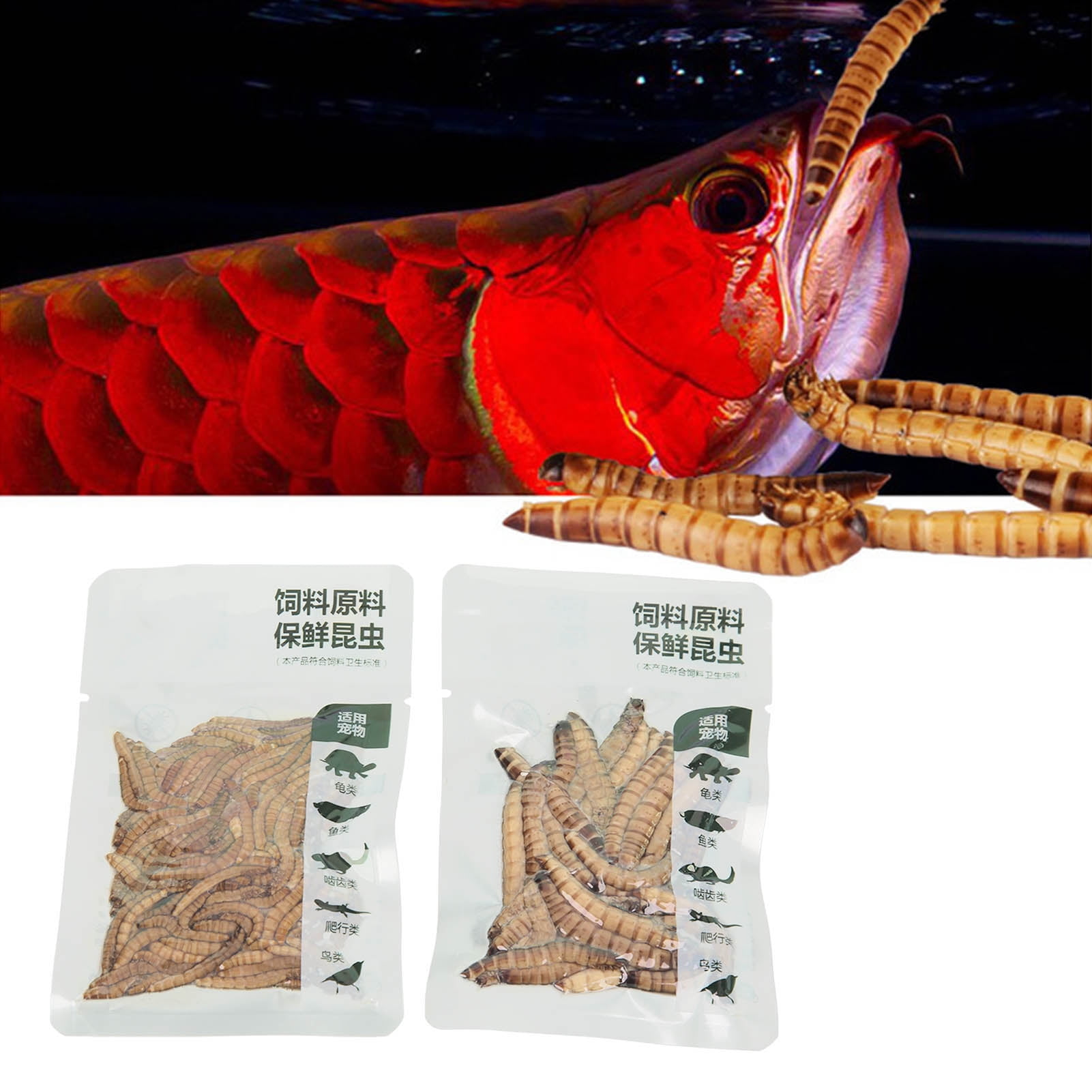 EOTVIA Mealworm Nutritious Safe Vacuum Packaging Reptile Worms Food for