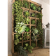 thumbnail image 2 of Plantas Suculentas Artificiales Plantas Decorativas 21pcs Xtellar verde, 2 of 3