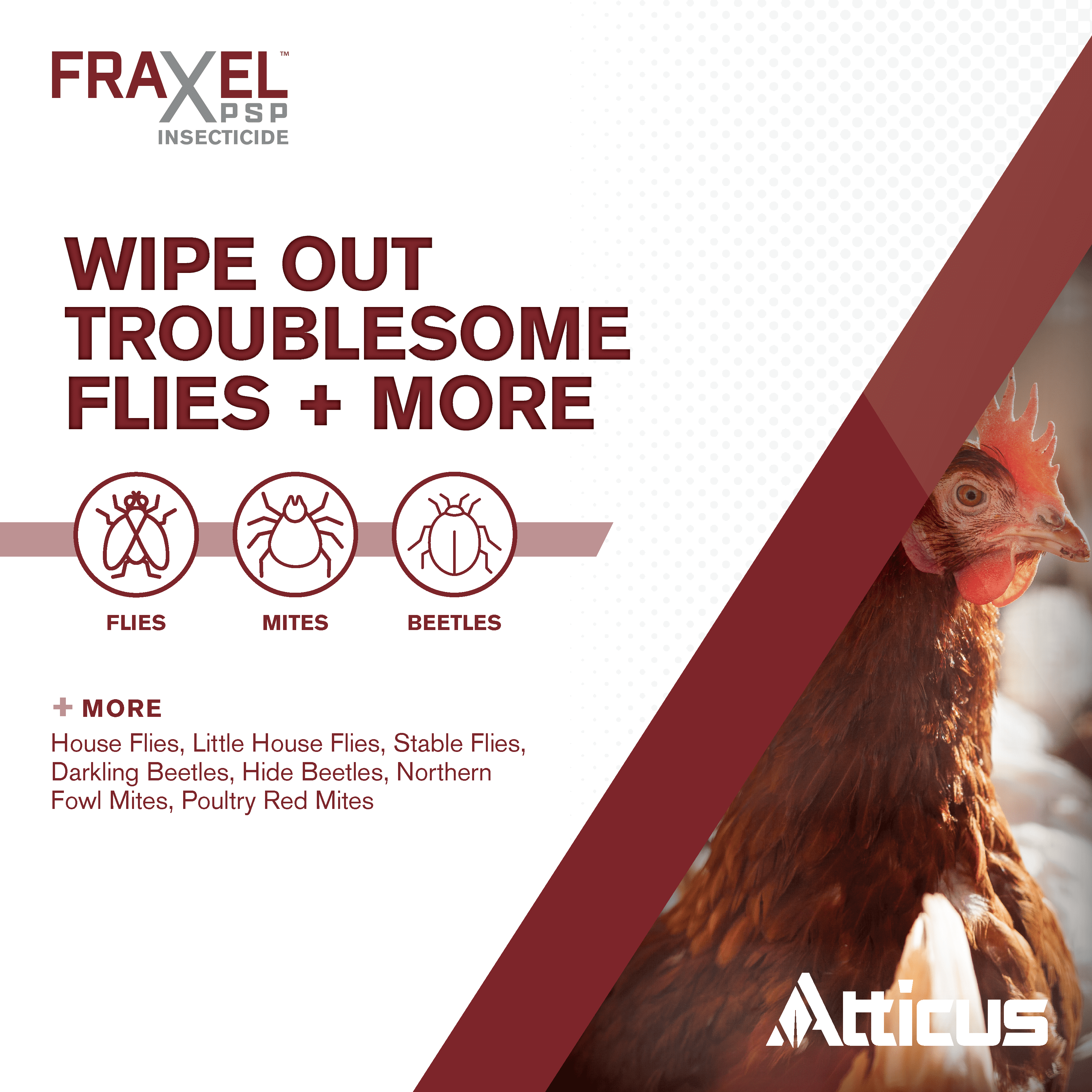 Fraxel PSP Insecticide for Poultry (8-oz) Concentrate - (Compare to Elector PSP) - Kill Mites, Lice, Flies, Beetles In & Around Chicken Coops & Other Livestock Areas - by Atticus