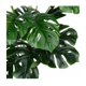 thumbnail image 4 of Feuilles de Palmier Artificielles Plantes Faux Faux Monstera Tortue Feuille Tropicale Grand Palmier Feuilles Plante Extérieure Plantes En Plastique Résistant Aux UV (Vert), 4 of 5