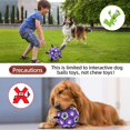 thumbnail image 4 of Balón de fútbol QDAN Dog Toy con correas para perros grandes (20 cm), 4 of 7