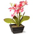 thumbnail image 1 of National Tree Company 12" Fleur d'Hortensia Rose, 1 of 2