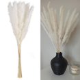 thumbnail image 4 of De Flores De Caña Secas Naturales Blancas, Hierba De Pampa, Fragmitas, Ramo De Flores Secas, Decoración Moderna Para El Hogar, Fiesta De Boda 15 Uds. Noticed HA042262-01, 4 of 6