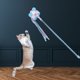 thumbnail image 5 of Cat Toys Funny cat , Cat Toy Interactive Cat , Hairball Bell Toys, Juguetes para de Interior - blanco Yinane Gracioso gato varita, 5 of 7