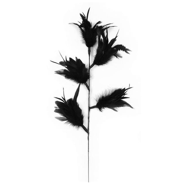 Midwest Design Imports 38720 Plume Décorative Florale Pick&44; Noir - 4 Pièces