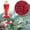 Red, variant on strola Toys Fish Attractant for Crucian Carp Panfish Trout, High Concentration Red Worm Scent Fruit Musk Fishing Bait Additive Liquid for Ice Fishing Pond Fishing 60ml