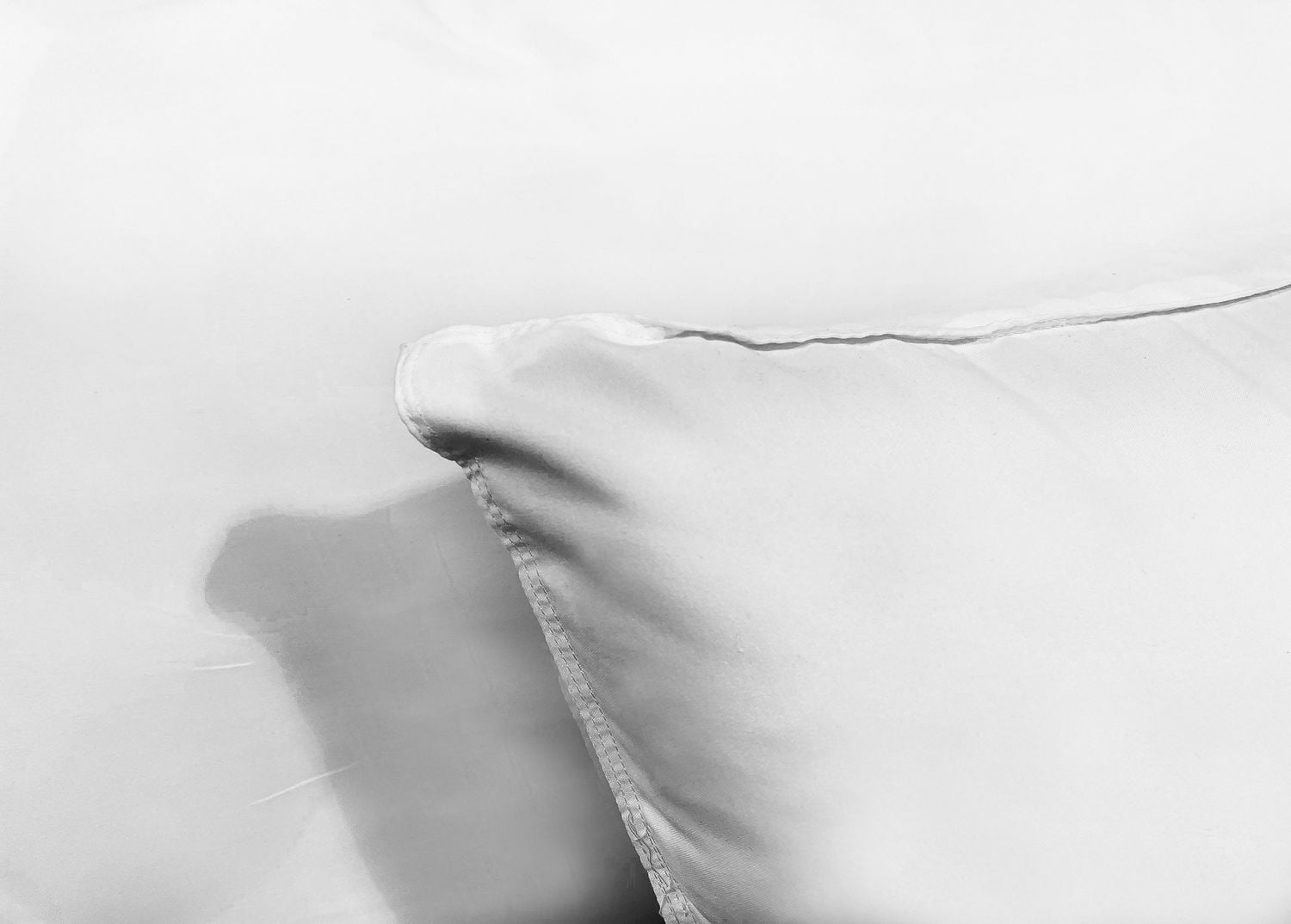 2-PACK MICROFIBER PILLOWS