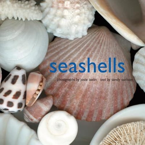 Pre-Owned Seashells (Hardcover) 0810993279 9780810993273