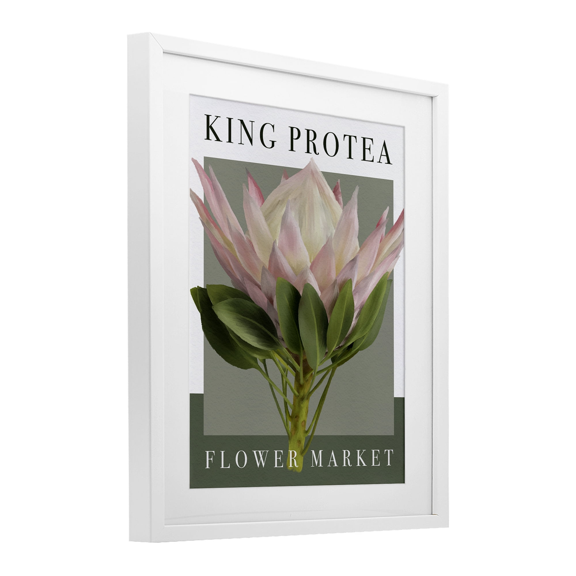 Stupell Industries King Protea Flower Market White Framed Print Under Glass, design by Jennifer Stith