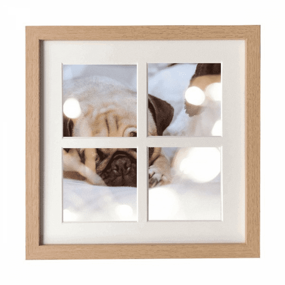 bulldog pet animal lly picture Frame Wall Tabletop Display 4 Openings Picture