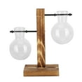 thumbnail image 4 of Home Decor,Innovative Planter Vase with Hydroponics Vase Glass Flower Pot Innovative Solution, 4 of 14