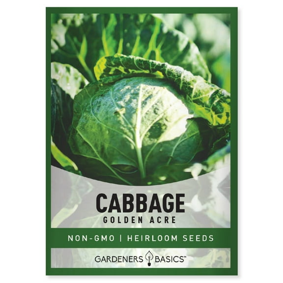 Golden Acre Cabbage Seeds