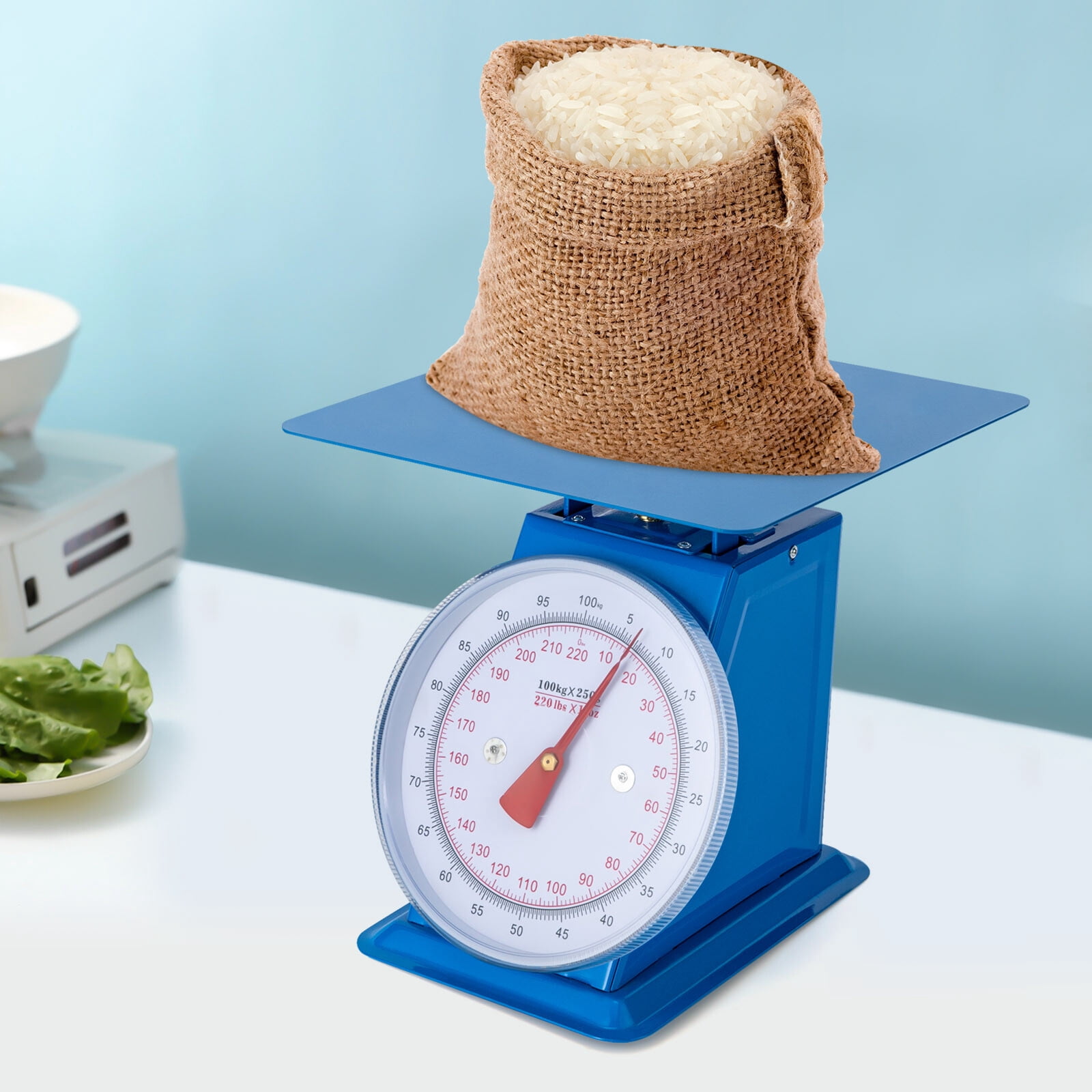 220-LBS Blue Heavy Duty Portion-Control Mechanical Dial Scale Industrial Dial Scale for Supermarkets