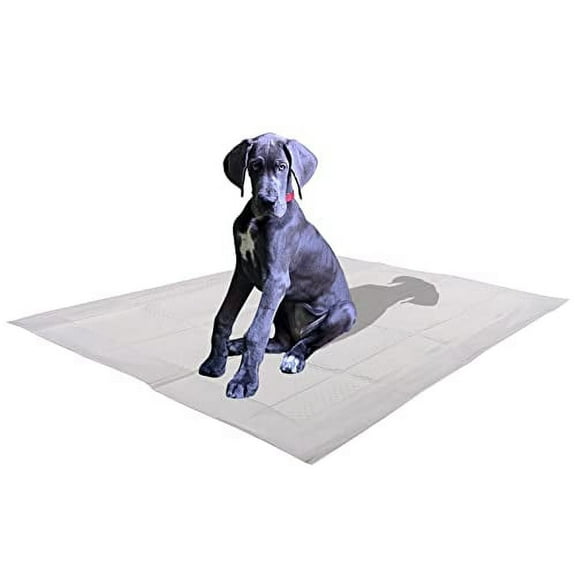 25 Count X-Large Leak-Proof Pee Pads, 5 Layers with Attractant Scent to Improve Potty Training Success, 28" x 34"