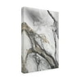 thumbnail image 2 of Andrea Haase 'Abstract Ink Fantasy II' Canvas Art, 2 of 4