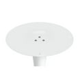 thumbnail image 5 of Aron Living Rose Contemporary 36" Mid-Century Wood Top Dining Table in White, 5 of 7