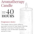 thumbnail image 5 of Fortune Products Candle-Lite Black Cherry Jar Candle (Set of 4), 5 of 9