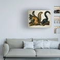 thumbnail image 2 of Trademark Fine Art "Fox Squirrel" Canvas Art by John James Audubon, 2 of 4