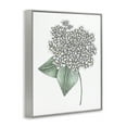 thumbnail image 4 of White Hydrangea Sketch Blossom Gray Framed Giclee Art, design by Cecilia Battaini, 4 of 9