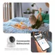 thumbnail image 3 of Kit Cronos Mini Cámara Ezviz PT IP 2MP Wifi Con Visión Panorámica 360° Seguimiento Inteligente Ideal Para Uso Interior Y Micro SD de 64GB Con Audio de Bidireccional H6C, 3 of 8