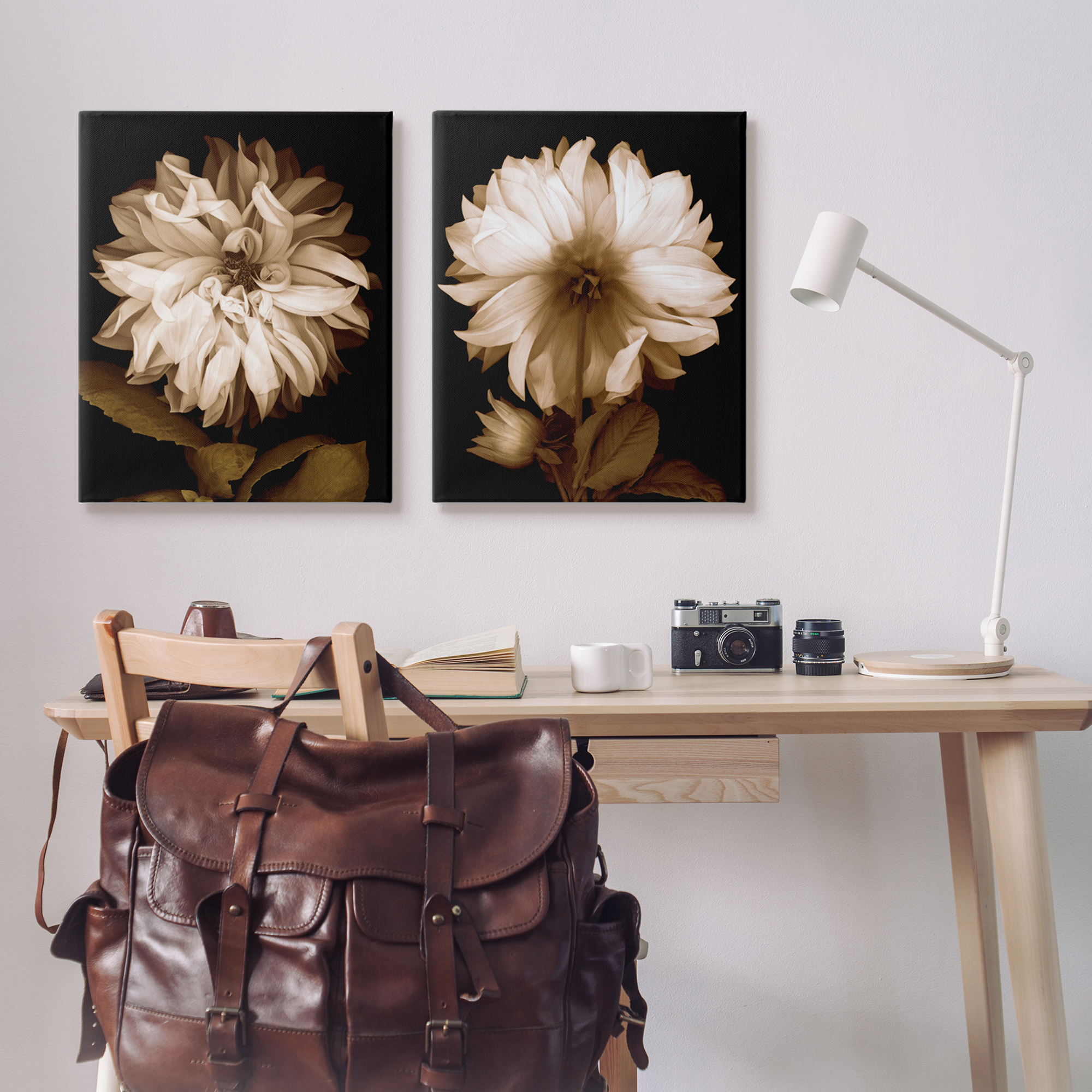 Stupell Sepia Chrysanthemum Flower Blooms Botanical & Floral Photography Gallery Wrapped Canvas Print Wall Art, Set of 2
