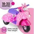 sidecar for moped