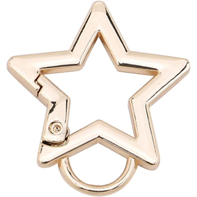 HUGFEGWE Star Shaped Stainless Steel Keychain Clip Carabiner Snap Hook Holder Star Carabiner Hook Clip Key Holder Carabiner Clip for Keys & Wallet with Key Chain Rings CJB91-129169