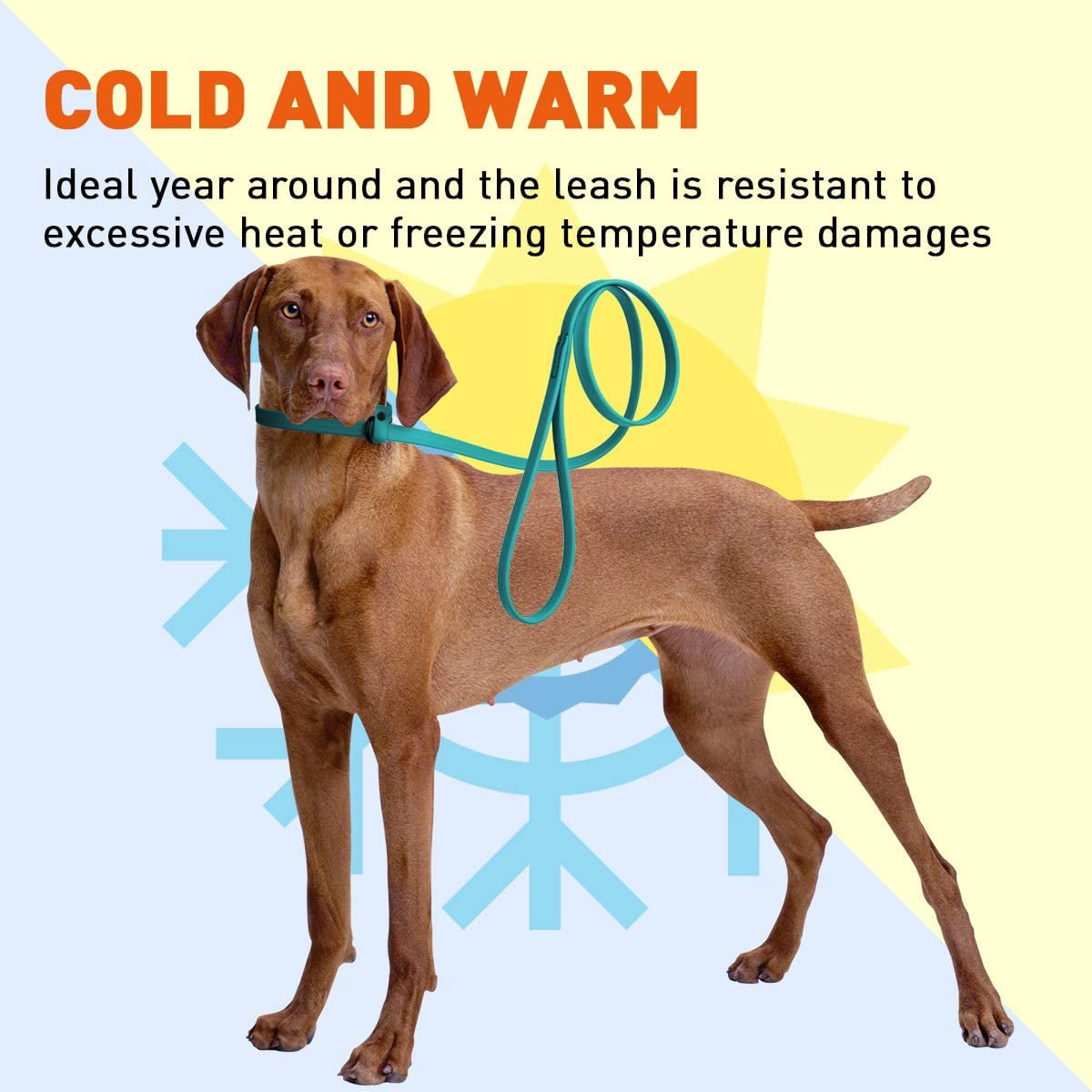 Dogline  - Biothane Slip Dog Leash - for Small, Medium and Large Dogs - Odor Free Slip Lead, Heavy Duty and Durable Material Kennel Lead (Teal: Width 5/8" | L: 60"(5ft))