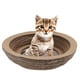 thumbnail image 1 of Rascador Para Gato Yinane Cartón Proteja Mobiliarios Hecho De Material Respetuoso Medio, 1 of 8