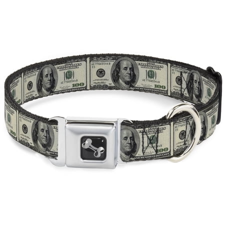 Buckle-Down Pet Collar Dog Collar Metal Seatbelt Buckle 100 Dollar Bills 13 to 17 Inches 1.5 Inch Wide
