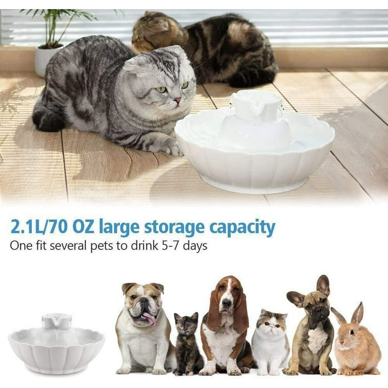 iPettie Tritone Ceramic Pet Drinking Fountain Ultra Quiet Way