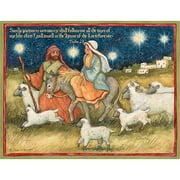 Lang "holy Light" Boxed Christmas Cards