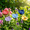 5pcs-I, variant on Lethargic Ceramic Outdoor Bird Bath with Flower and Bee Theme