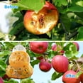 thumbnail image 5 of Trampa para avispas - Atrapaavispas, Trampa para abejas, Trampa para avispas amarillas, Trampa para moscas de la fruta, Trampa para avispones, Interior, Exterior, Forma de reloj de arena, 5 of 5