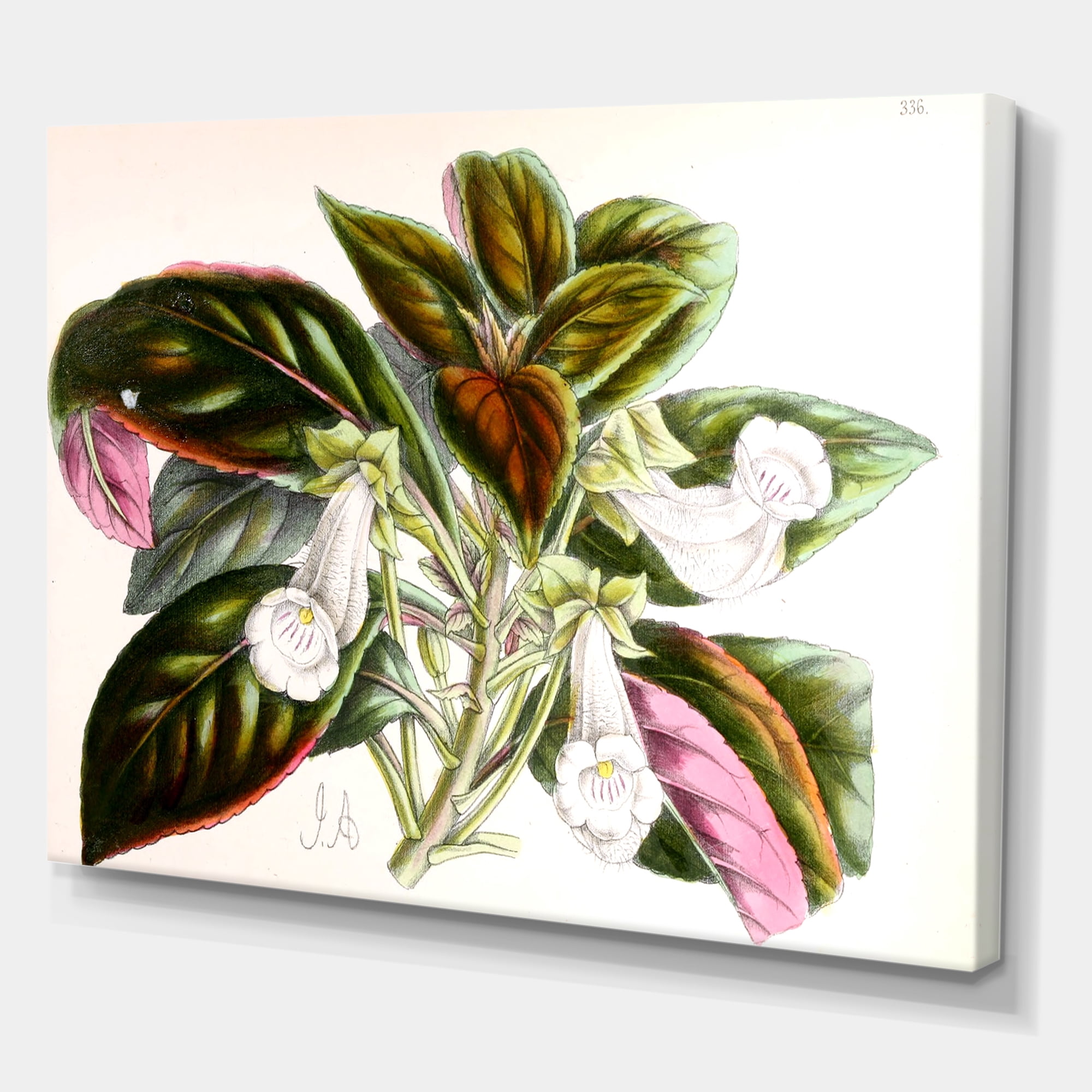 Designart ' Blossoming Vintage Flower V ' Traditional Canvas Wall Art Print