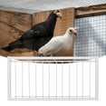 thumbnail image 2 of Puerta de la casa del loro, jaulas de hierro para pájaros, trampa en T, jaula para pájaros, puerta de la casa, diseño aerodinámico, 2 of 8