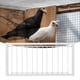 thumbnail image 2 of Trampa para pájaros, jaulas de hierro para pájaros, trampa para pájaros, trampa para pájaros, alta capacidad Jadeshay A, 2 of 8