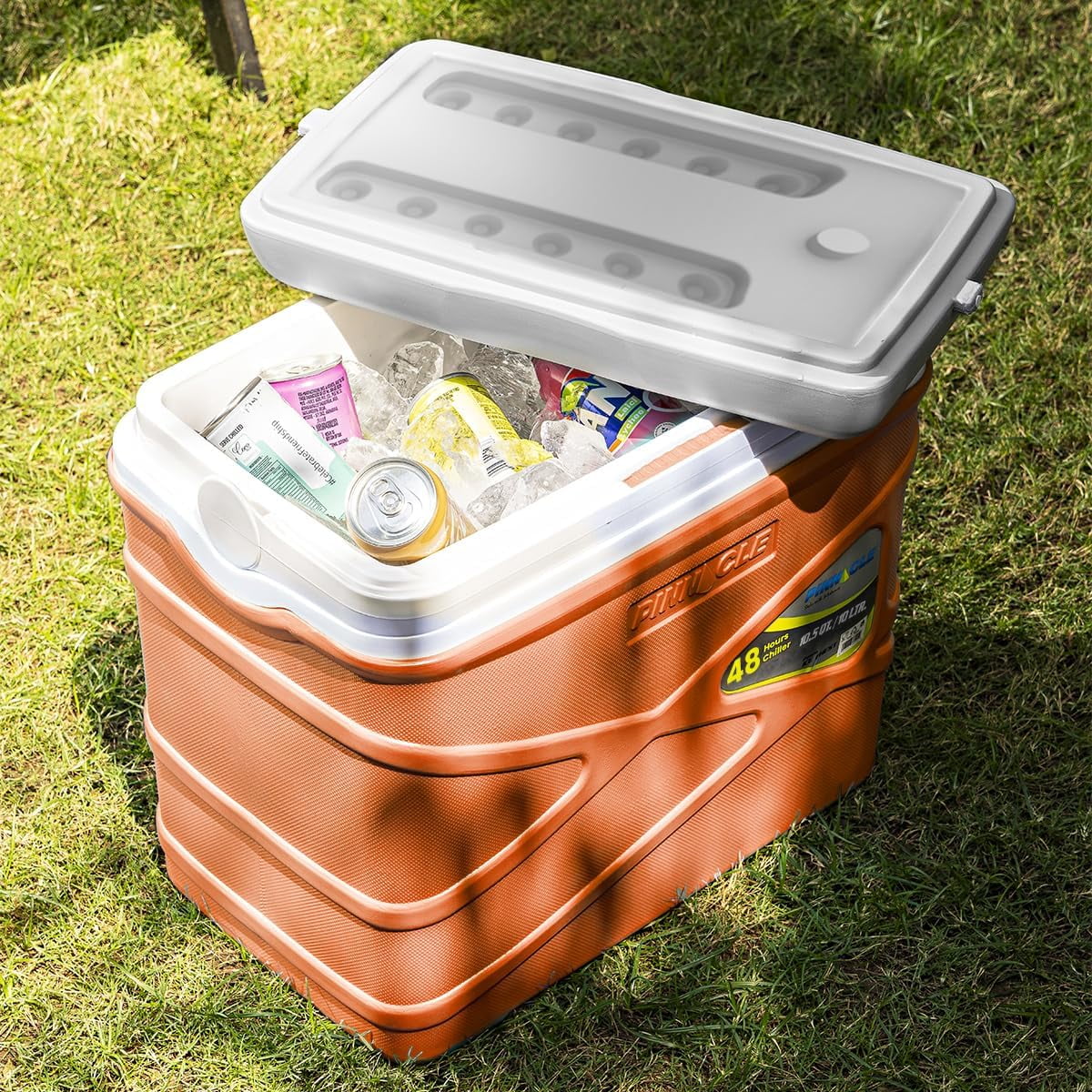 Pinnacle 10 L Insulated Cooler Lunch Box Portable Hard Cooler for Camping - Orange