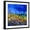Black Frame, variant on Art.com Blue Cornflowers 7741 Art Print by Pol Ledent, 24" x 24"