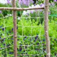 thumbnail image 3 of MesaSe Plant Support Netting Eco Friendly Biodegradable & Compostable Natural Garden Jute Trellis Twine (2mx5m), 3 of 7