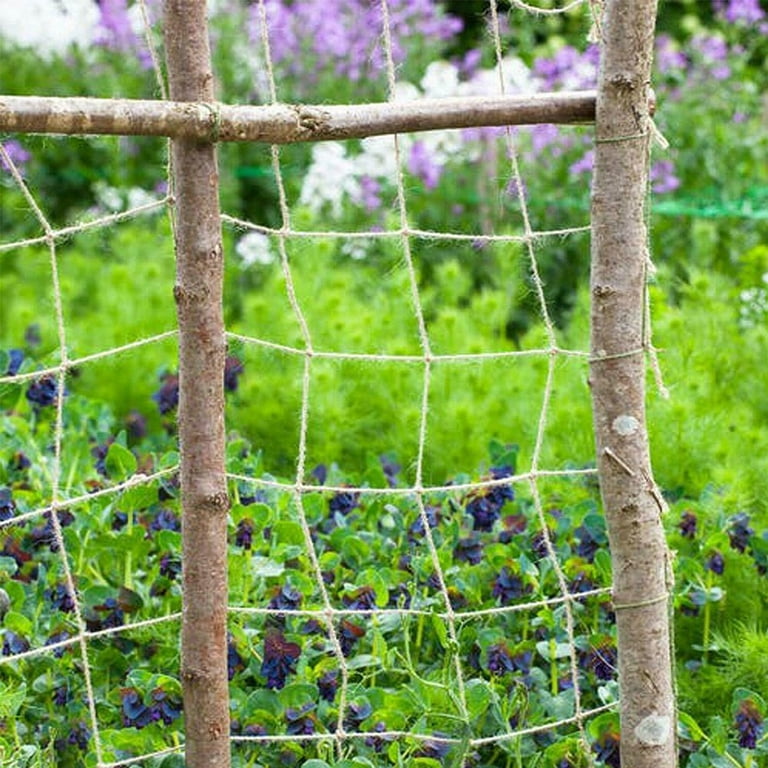 QJUHUNG Jute Plant Support Net for Gardens Eco-Friendly Netting – Great for  Climbing Plants Peas Cucumbers and Strawberries 