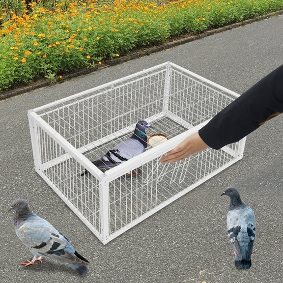 Pigeon Trap with Escape-Proof Design, Pigeon Cage with One-Way Entry, Iron Pigeon Coop with Skylight, Bird Trap Cage for Pigeons, 23.6'' x 15.7'' x 10.2''(White)