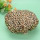 thumbnail image 5 of BEADCEST 2Ud Para Impermeables Leopardo Con Doble Ideal Para Cuidado Capilar, 5 of 5